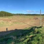 The Sandpit