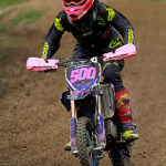 IMG 4894